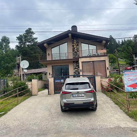 Villa Astoria Bakuriani Eksteriør bilde
