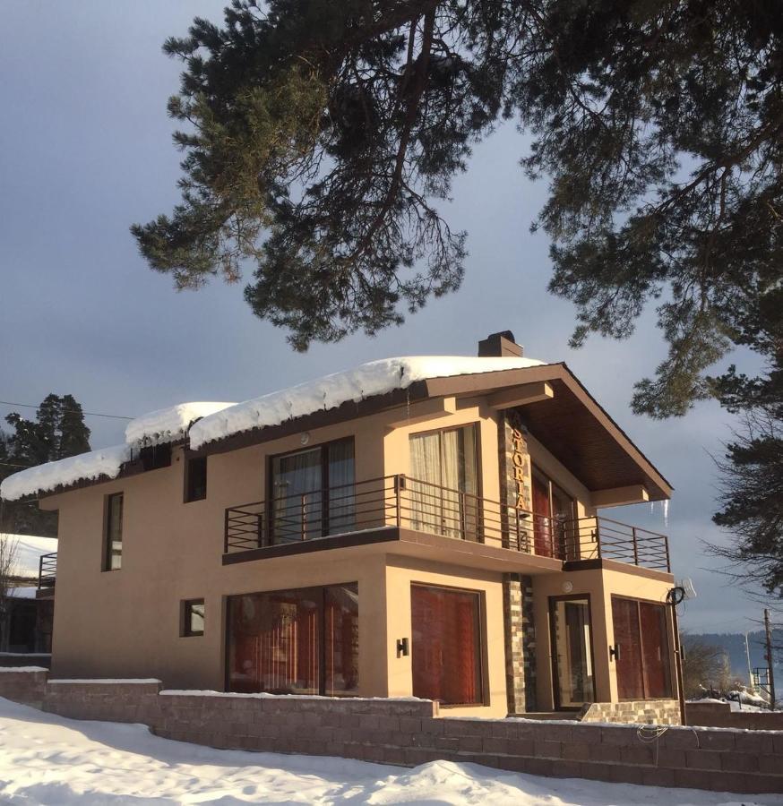 Villa Astoria Bakuriani Eksteriør bilde